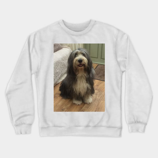 Bearded Collie - Good Boy Beardie Crewneck Sweatshirt by Bucklandcrafts